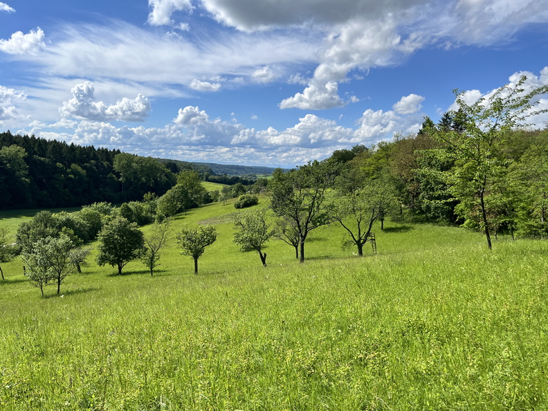 24-05-18 16-11-58 9472